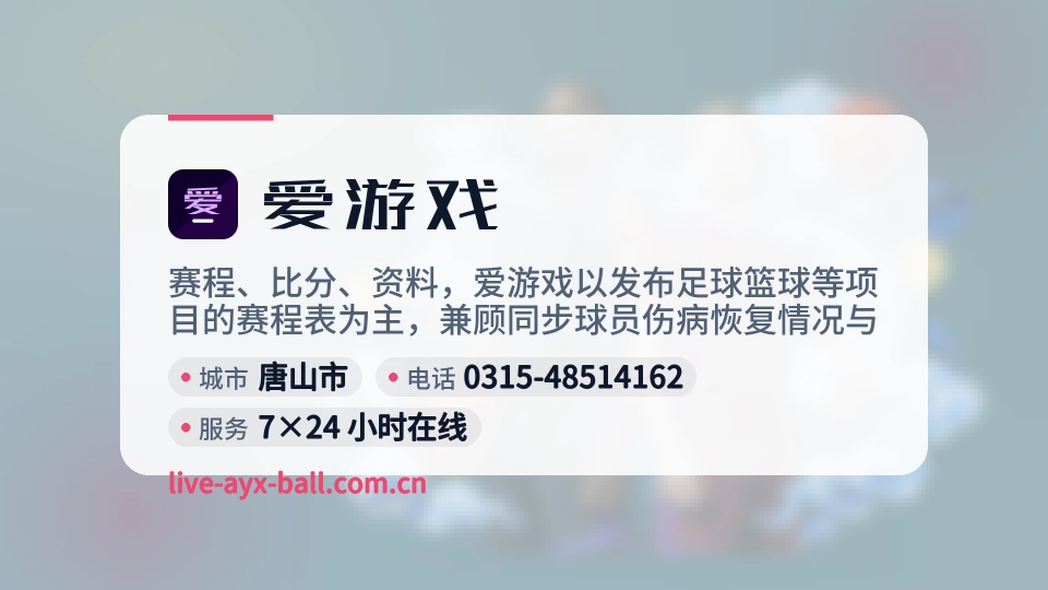 爱游戏概况